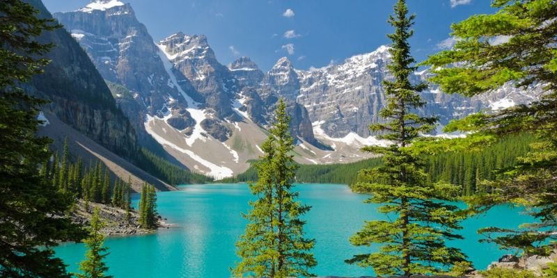 Air Transat Alberta Office in Canada
