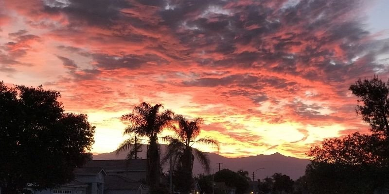 Hong Kong Express Hemet Office in California