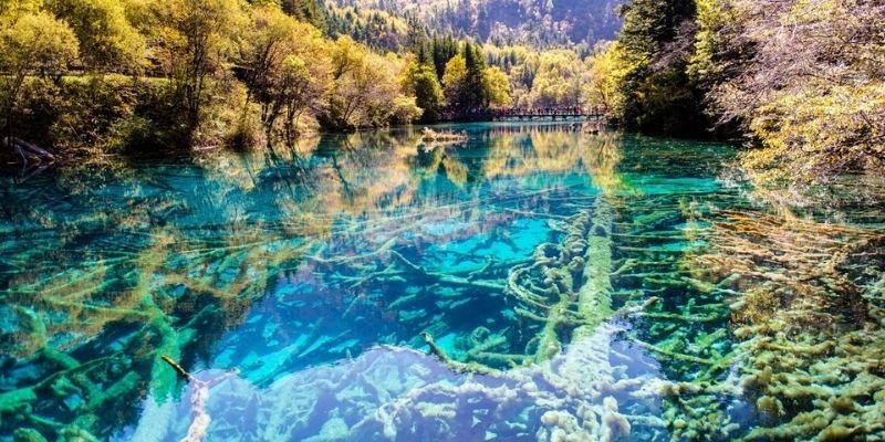 Sichuan Airlines Jiuzhaigou Office in China