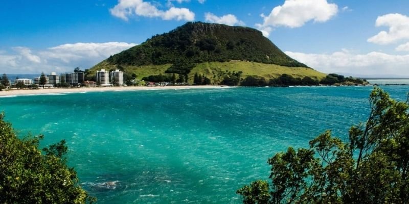 Alpine Air Express Tauranga Office in New Zealand