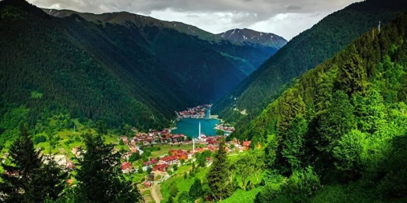 Flyadeal Trabzon Office in Turkey