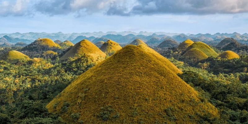 Cebu Pacific Bohol Office in Philippines