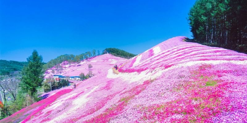 ANA Wings Ōzora Office in Japan