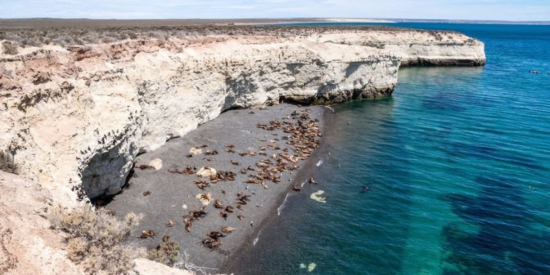 Aerolineas Argentinas Airlines Puerto Madryn Office in Argentina