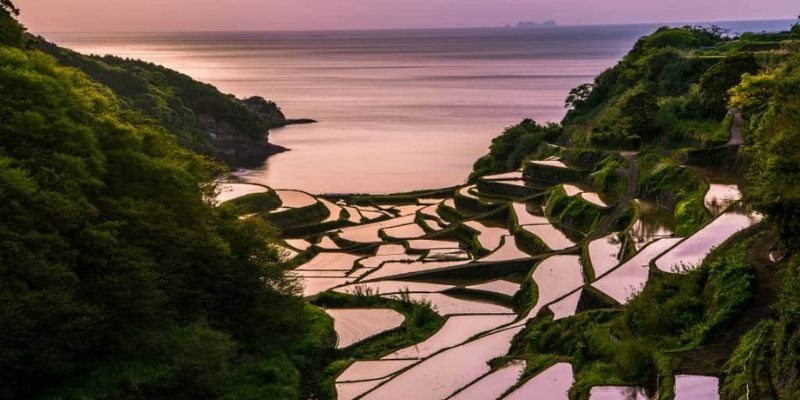 ANA Wings Saga Office in Japan