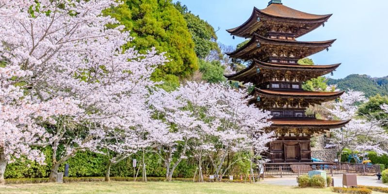 ANA Wings Yamaguchi Office in Japan