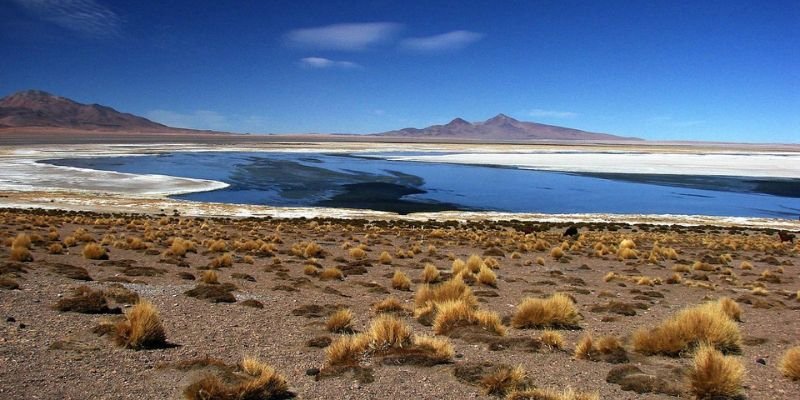 JetSmart Airlines Calama Office in Chile