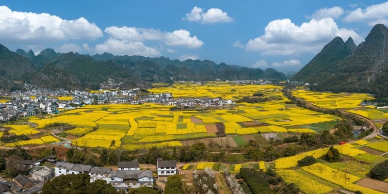 Chengdu Airlines Xingyi Office in China