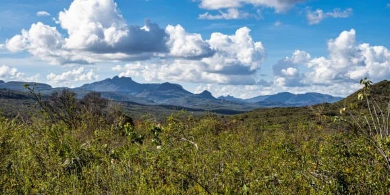 Azul Airlines Ariquemes Office in Brazil
