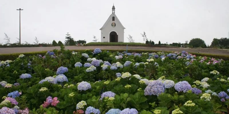 Azul Airlines Garanhuns Office in Brazil