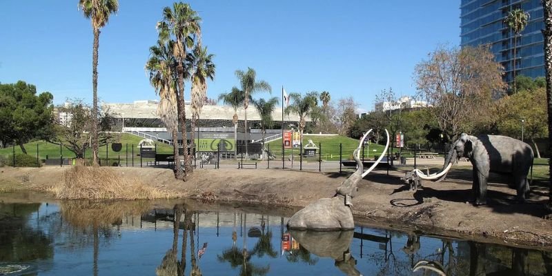 Azul Airlines Labrea Office in Brazil