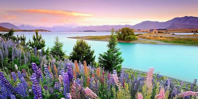 Azerbaijan Airlines Lankaran Office in Azerbaijan