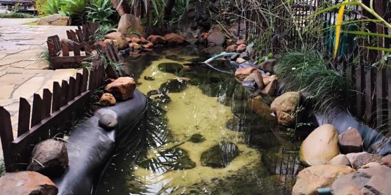 Azul Airlines Torres Office in Brazil